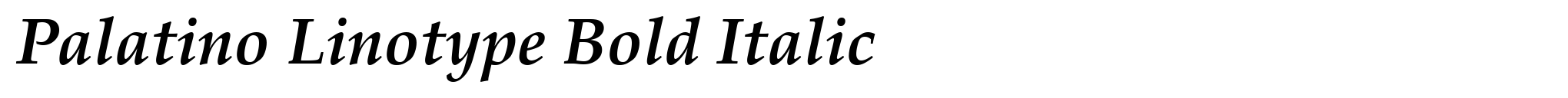 Palatino Linotype Bold Italic image